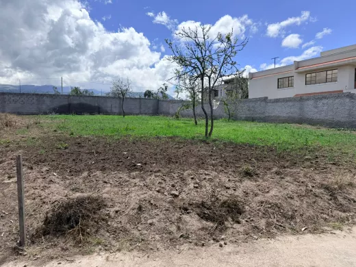 SE VENDE TERRENO EN LA TRANQUILLA