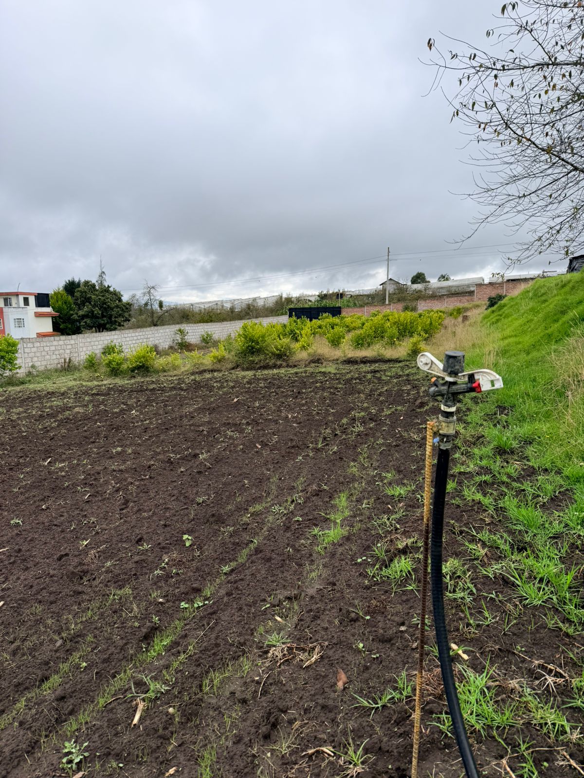 🌿 Terreno en Venta – San Miguelito 🌿
