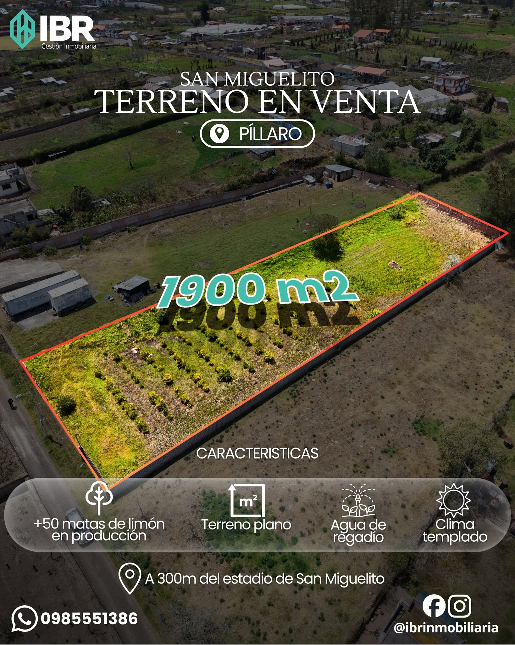 🌿 Terreno en Venta – San Miguelito 🌿 · fotografía 4