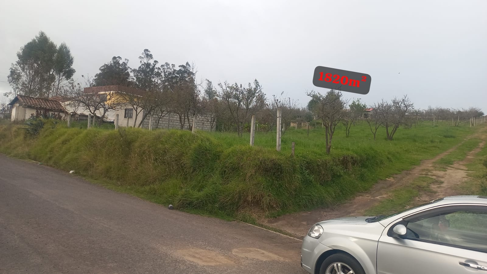 INVIERTE EN UNA PROPIEDAD EN PILLARO SECTOR SANTA TERESITA · fotografía 2