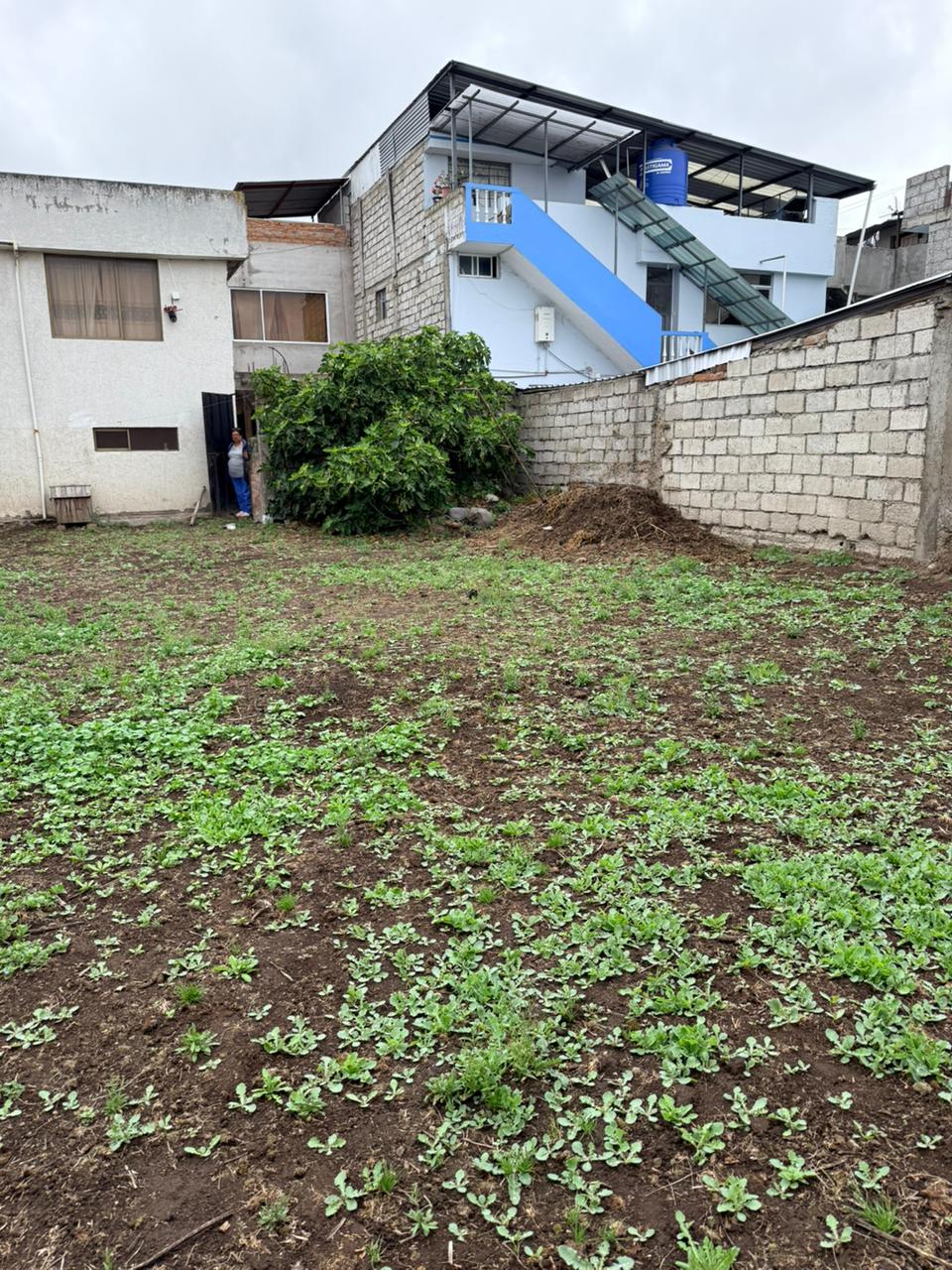 INVIERTE EN UNA PROPIEDAD CENTRO DE PILLARO DE 250M2 · fotografía 7
