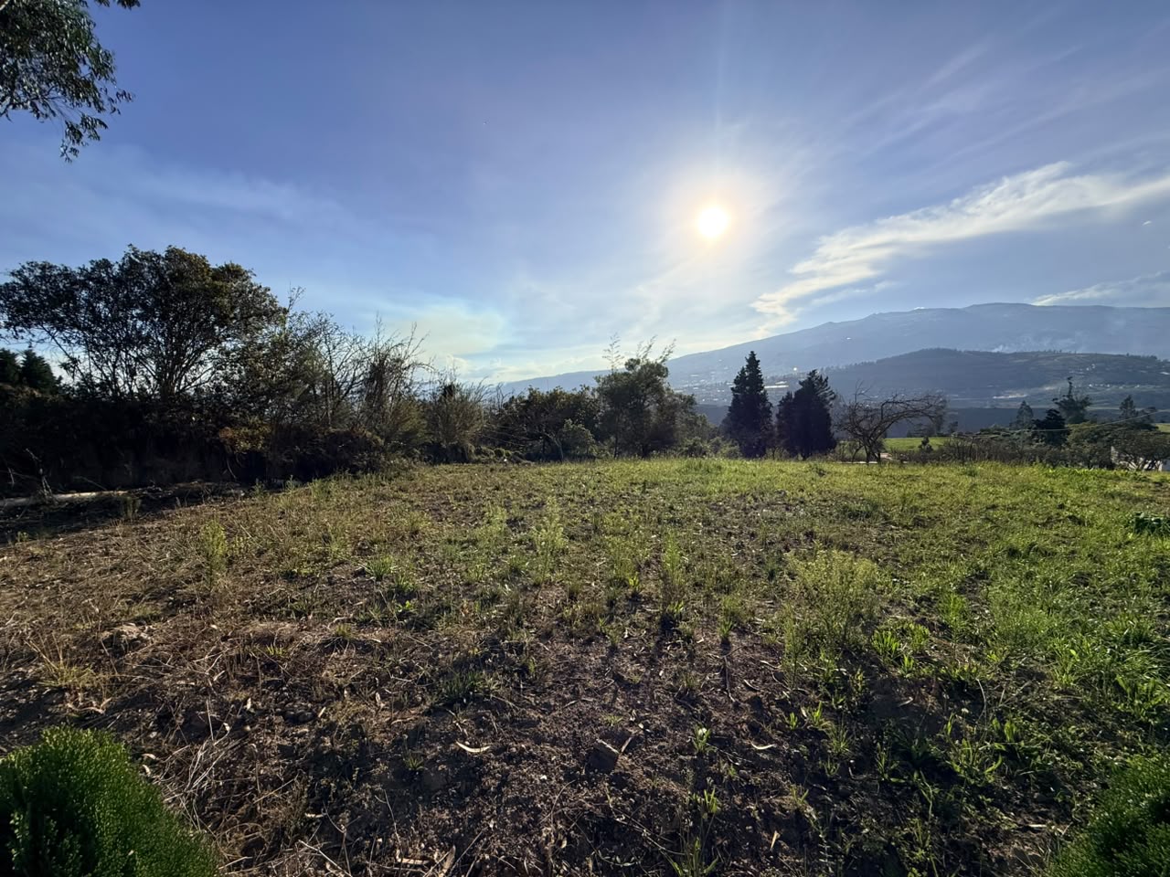 SE VENDE TERRENO EN LA VIA PILLARO-AMBATO · fotografía 2