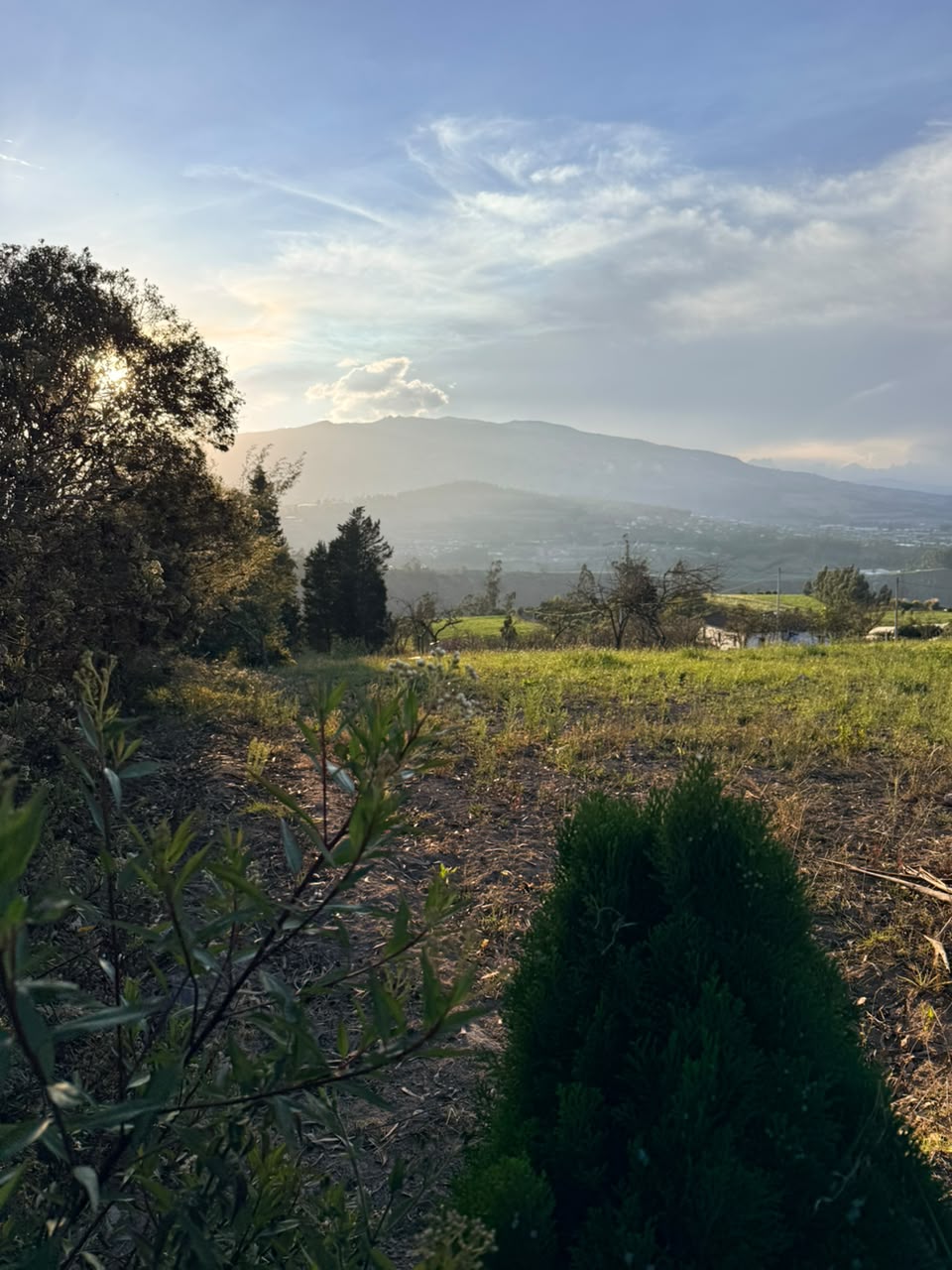 SE VENDE TERRENO EN LA VIA PILLARO-AMBATO · fotografía 5