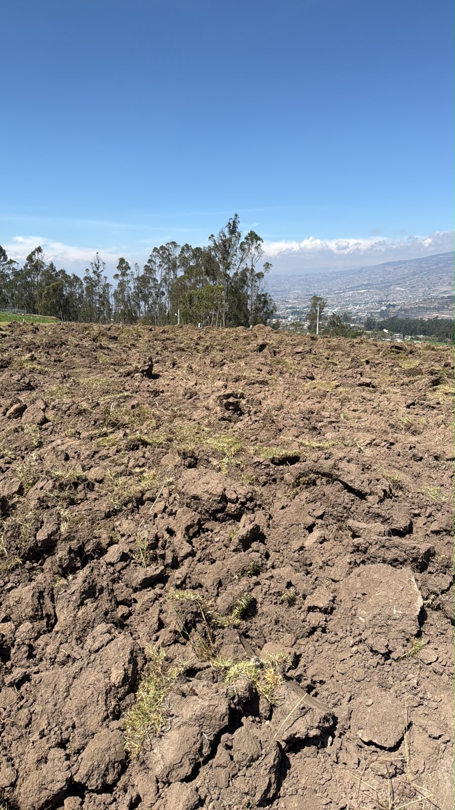 SE VENDE TERRENO EN CALLATE PORYECTO EL MIRADOR · fotografía 3