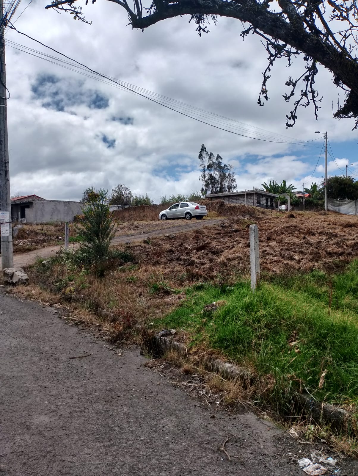 SE VENDE TERRENO EN YACUPAMBA VIA A LA ESPERANZA · fotografía 2