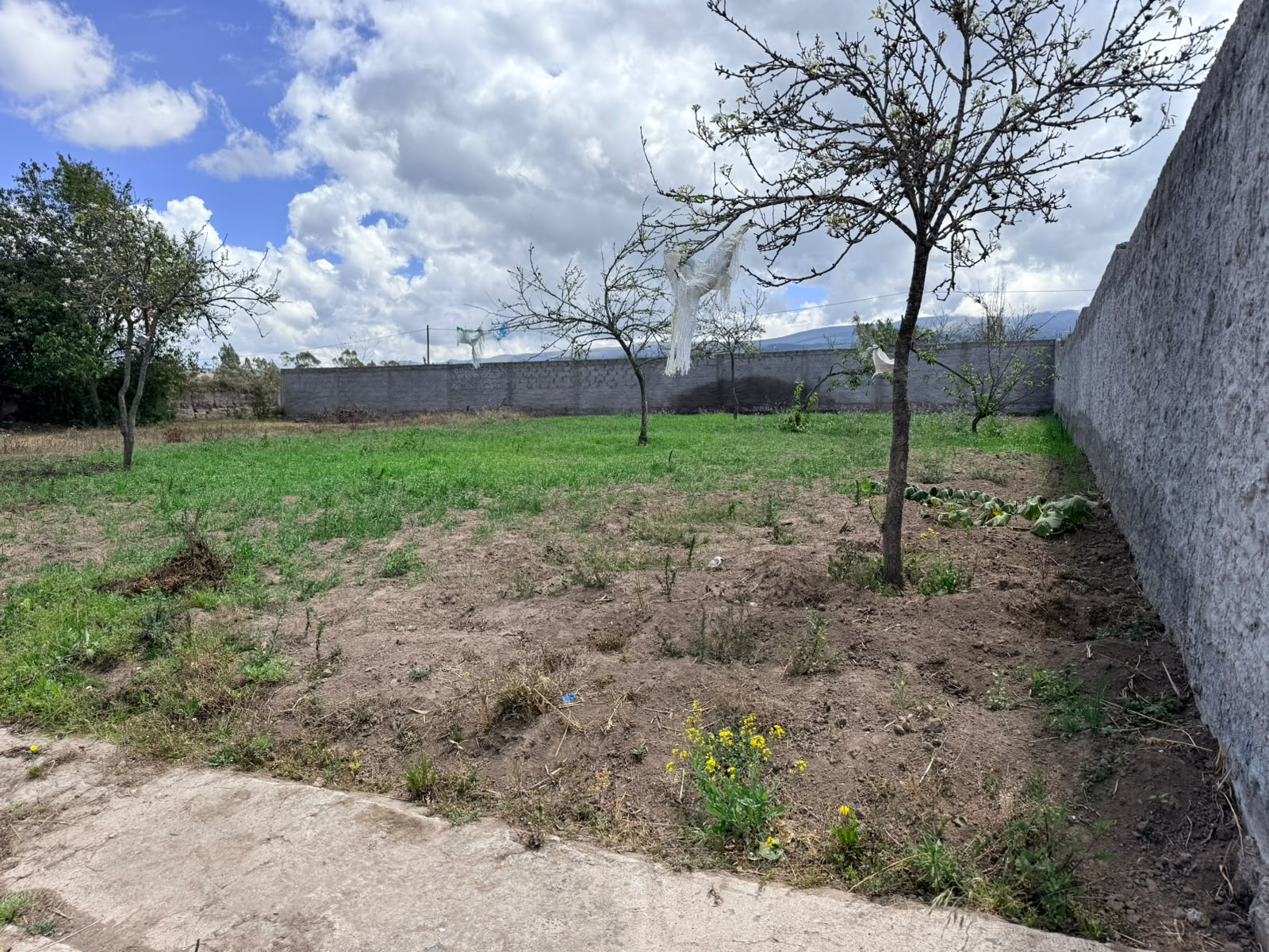 SE VENDE TERRENO EN LA TRANQUILLA · fotografía 5
