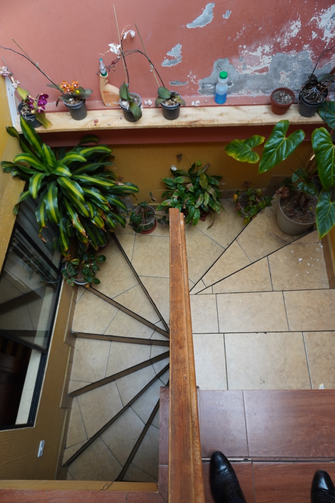 🏡 ¡OPORTUNIDAD ÚNICA EN EL CENTRO DE PÍLLARO! 💰 · fotografía 4