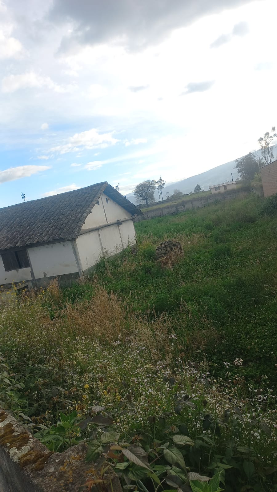 🏡 ¡OPORTUNIDAD ÚNICA EN PÍLLARO! 🏡